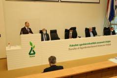 Mini IMG 8541